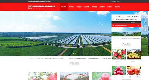 企業(yè)網(wǎng)站、程序軟件App解決方案